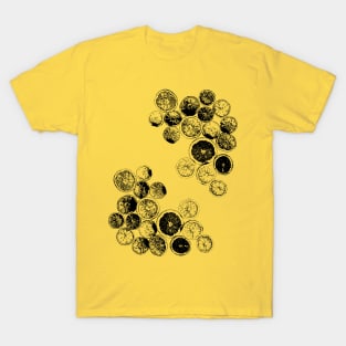 Blank Fruit Slices T-Shirt